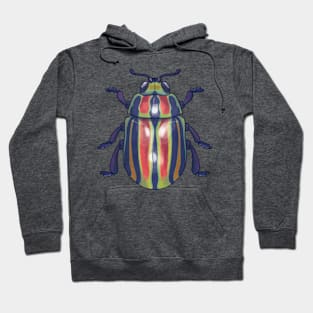 Rainbow Beetle Hoodie